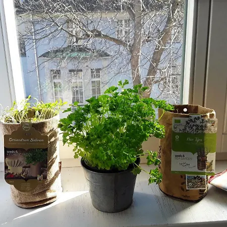 Гостевой дом Casa Пирна