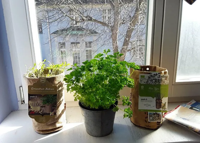 Affittacamere Casa Pirna